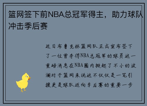 篮网签下前NBA总冠军得主，助力球队冲击季后赛